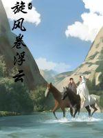 旋风卷浮云封面