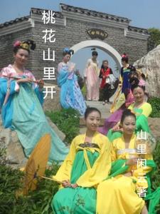 桃花山里开封面