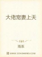 大佬宠妻上天封面