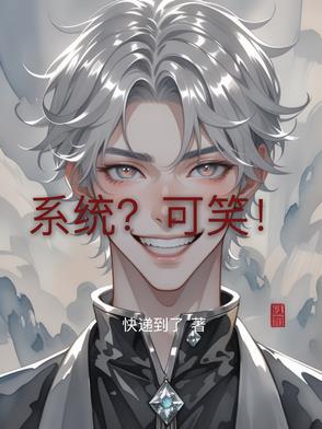 系统？可笑！封面