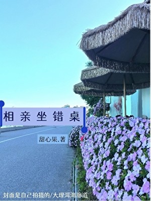 相亲坐错桌封面