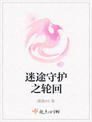 迷途守护之轮回封面