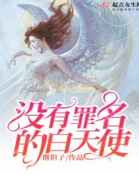 没有罪名的白天使封面