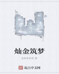 灿金筑梦封面