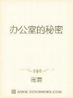 办公室的秘密封面