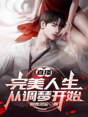 直播：完美人生从调琴开始封面