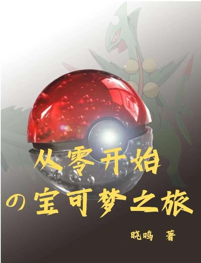 宝可梦：从零开始的宝可梦之旅封面