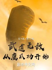 武道无敌从鹰爪功开始封面