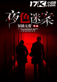 夜色迷案封面
