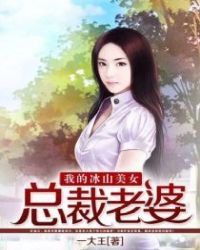 我的冰山美女总裁老婆封面