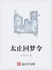 太止回梦令封面