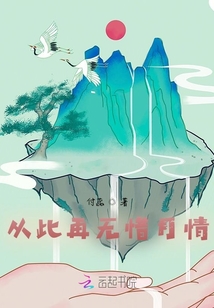 从此再无惜月情封面