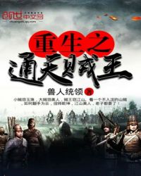 重生之通天贼王封面