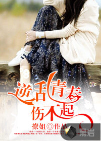 逆乱青春伤不起封面