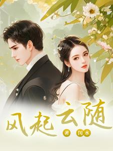 风起云随封面