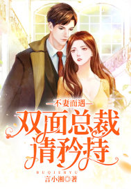不妻而遇:双面总裁请矜持封面