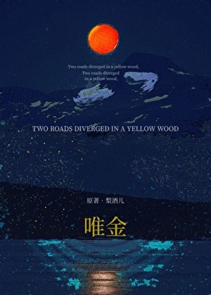 唯金封面