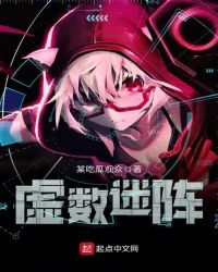 虚数迷阵封面
