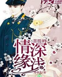 菩提的情深缘浅封面