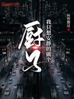 我只想安静的当个厨子封面