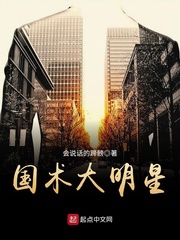 国术大明星封面