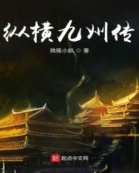 纵横九州传封面