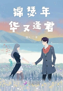 锦瑟年华又逢君封面