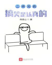 二师兄的梗是认真的封面
