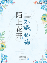 陌上花开不眠忆海封面