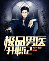 极品男医升职记封面