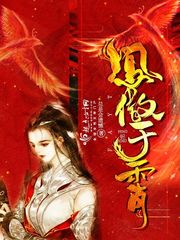 凤傲于霄封面