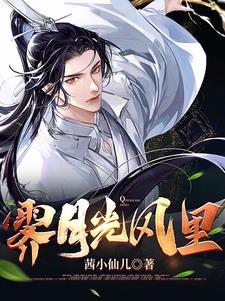 霁月光风里封面