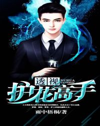 透视护花高手封面