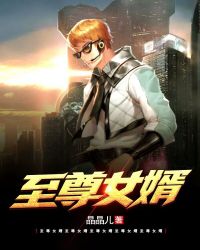 至尊女婿封面
