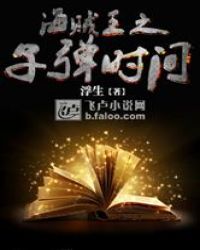 海贼王之子弹时间封面