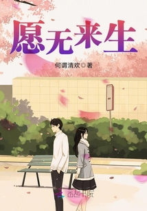愿无来生封面