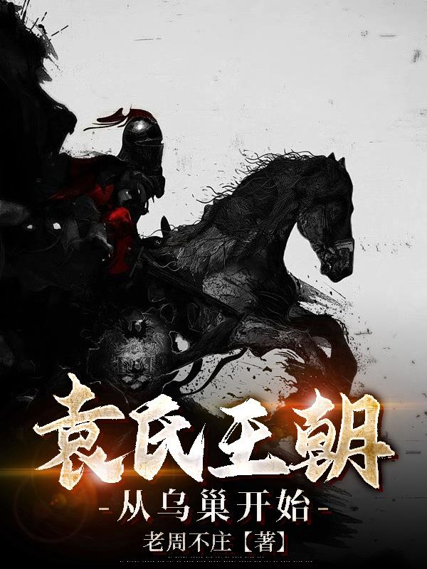 袁氏王朝：从乌巢开始封面