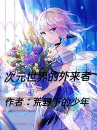 次元世界的外来者封面