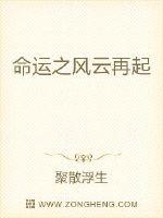 命运之风云再起封面