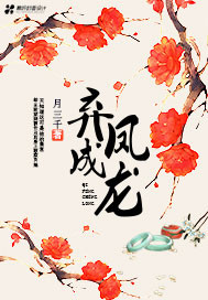 弃凤成龙封面