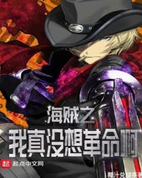 海贼之我真没想革命啊封面