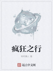 疯狂之行封面