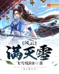风云满天雪封面