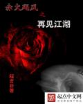 赤火飓风之再见江湖封面