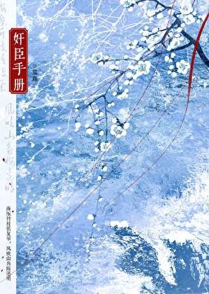 奸臣手册封面