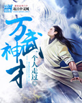 万武神才封面