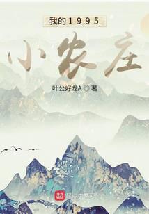 我的1995小农庄封面