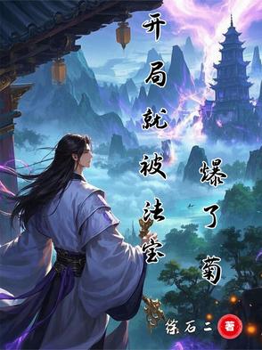 开局就被法宝爆了菊封面