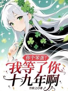 你个笨蛋！我等了你十九年啊封面