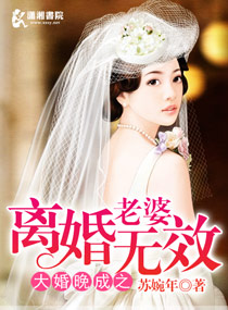 大婚晚成之老婆离婚无效封面